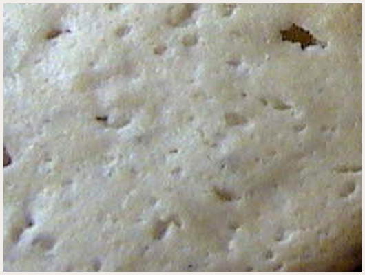 Biscuit Orange
