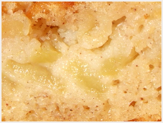 Biscuit pomme