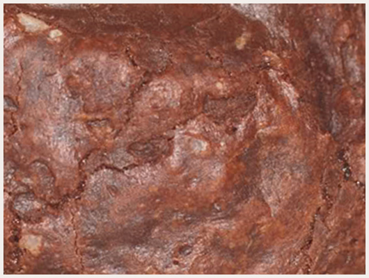 Biscuit Sabl au Chocolat