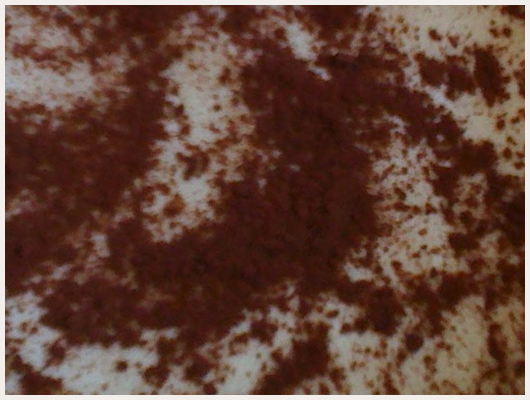 Biscuit Tiramisu