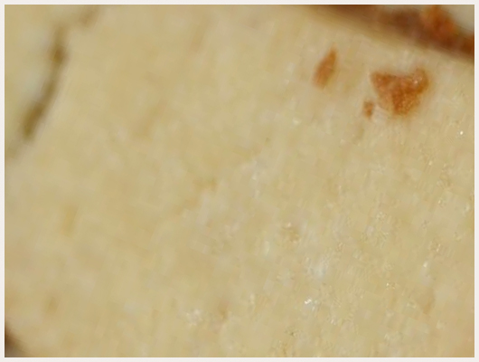 Biscuit Turc
