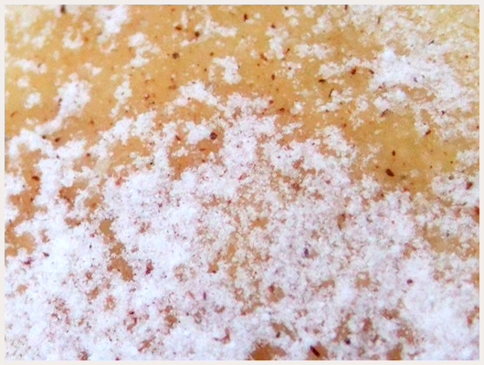 Biscuit Vanille