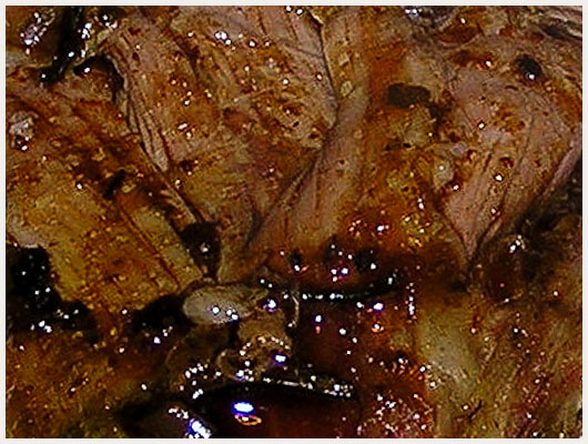 Blanquette d'Agneau à l'Oseille