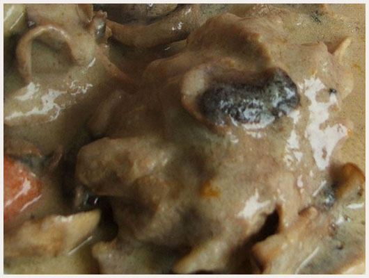Blanquette de Veau à l'Ancienne