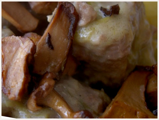 Blanquette de Veau à la Catalane