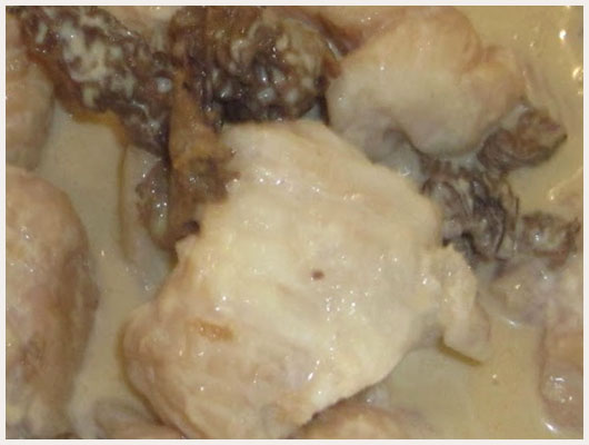 Blanquette de Veau aux Morilles