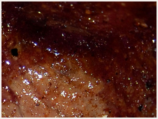 Boeuf au Vin Rouge