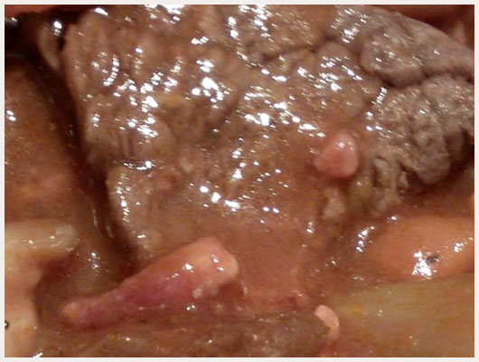 Boeuf Bourguignon au Vin Blanc