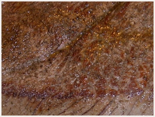 Boeuf en Sauce au Four