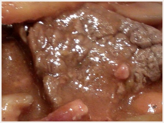Boeuf en Sauce Sans Vin