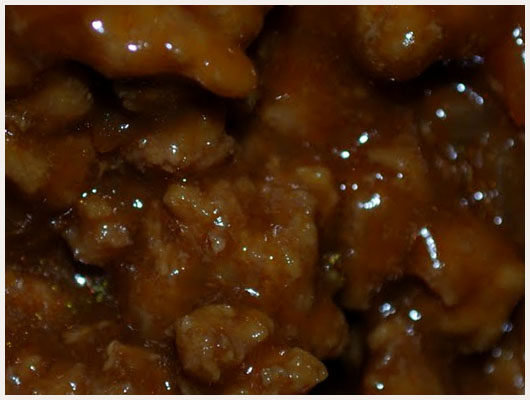 Boeuf en Sauce Simple