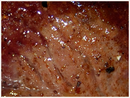 Boeuf en Sauce Vin Rouge