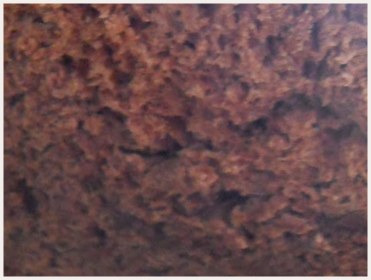 Brioche au chocolat