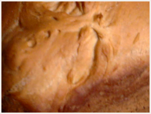 Brioche avec Machine à Pain