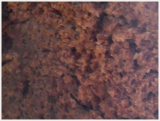 Brioche Chocolat