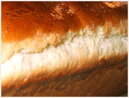 Brioche de Nol