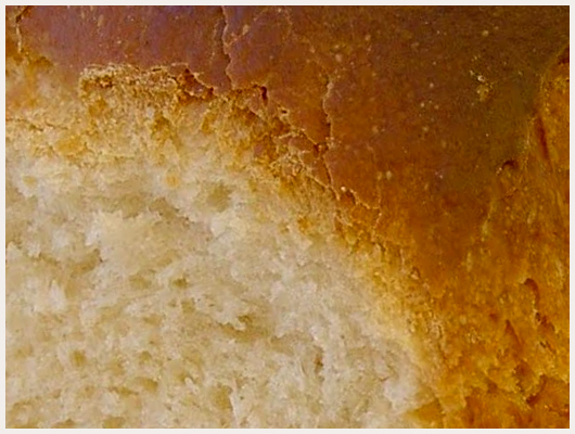 Brioche Dukan