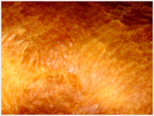Brioche en Machine  Pain