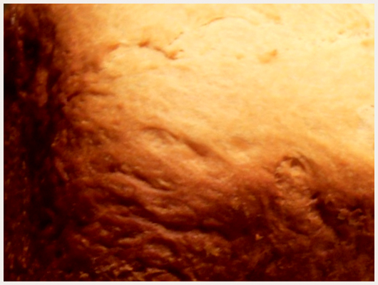 Brioche en Machine