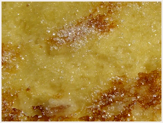 Brioche Faon Pain Perdu