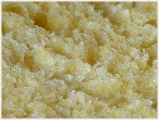 Brioche Légère
