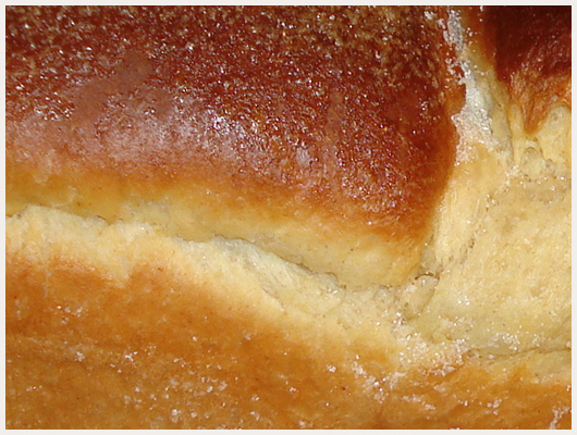 Brioche Levain