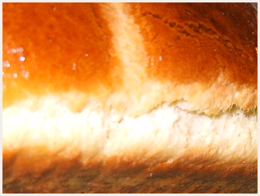 Brioche Levure Chimique