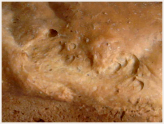 Brioche MAP