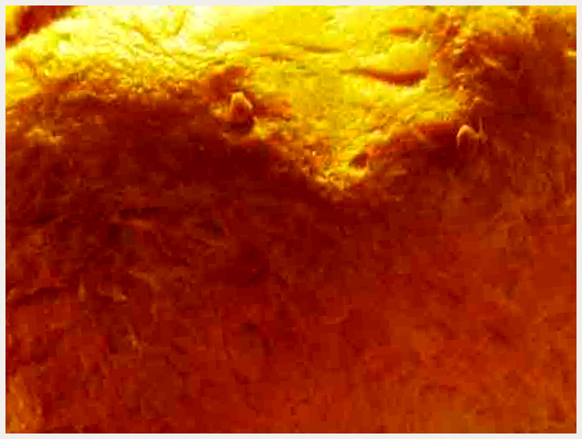 Brioche Mousseline