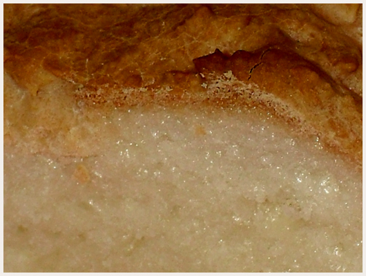 Brioche Sans Gluten