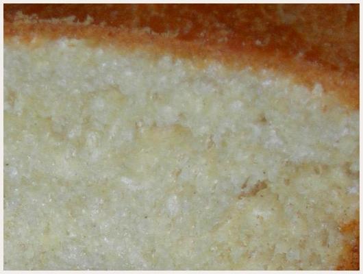 Brioche Sans MAP