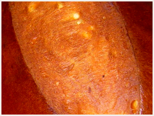 Brioche Viennoise