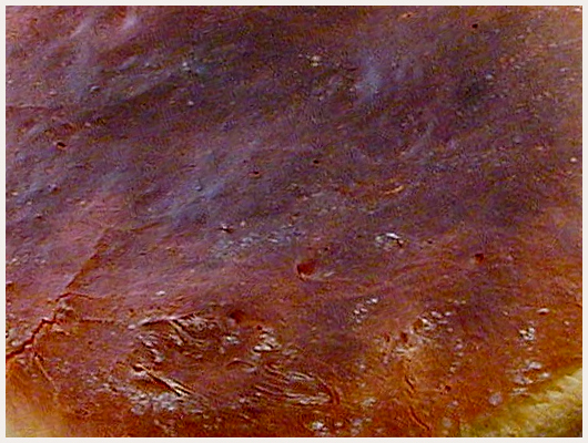 Brioche Yaourt