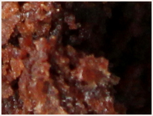 Brownies Chocolat Noir