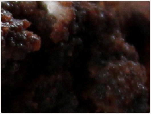 Brownies Chocolat Noix