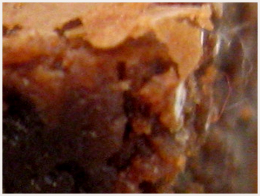 Brownies Express