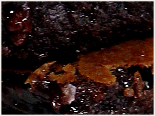 Brownies fondant