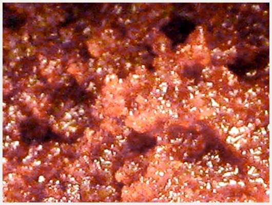 Brownies Halloween