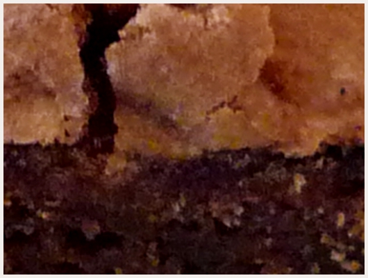 Brownies New Yorkais