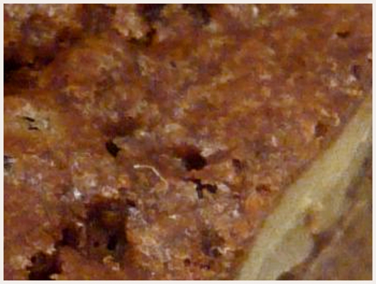Brownies Noix Pecan