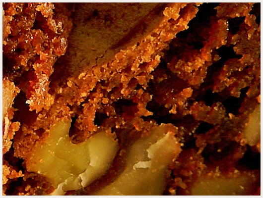 Brownies Pecan