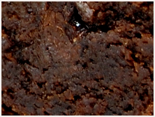 Brownies Pistache
