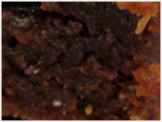 Brownies Sans Beurre