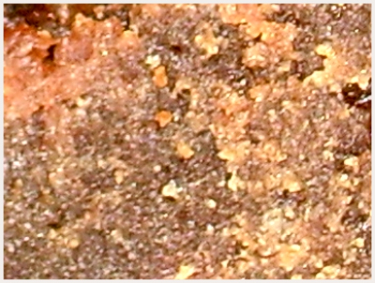 Brownies Sans Gluten