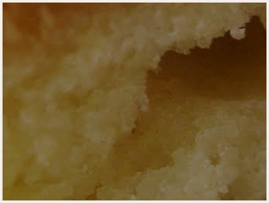 Cake aux Pommes