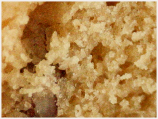 Cake Banane Noix