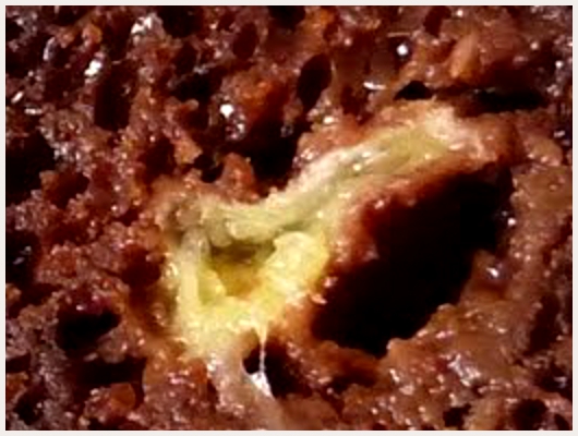Cake Chocolat Banane