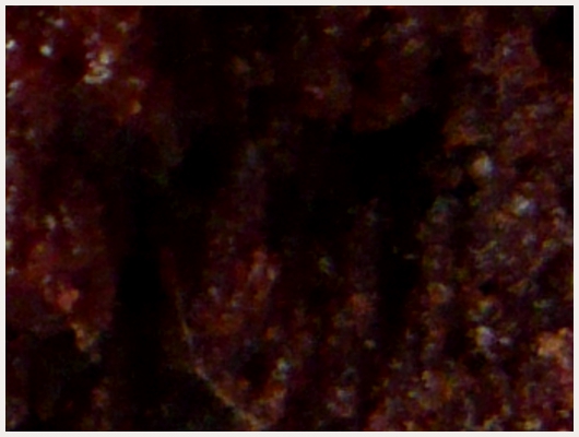 Cake Micro Onde