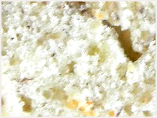 Cake Noix de Coco