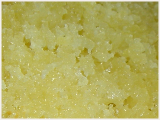 Cake Vanille